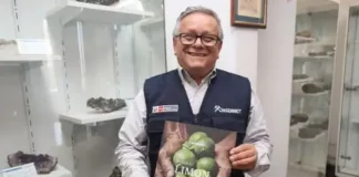 Ingemmet revela la geología que hace único al limón piurano en el mundo Ingemmet revela la geología que hace único al limón piurano en el mundo