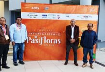 Maracuyá como alternativa agrícola frente al Fusarium R4T en Piura Maracuyá como alternativa agrícola frente al Fusarium R4T en Piura