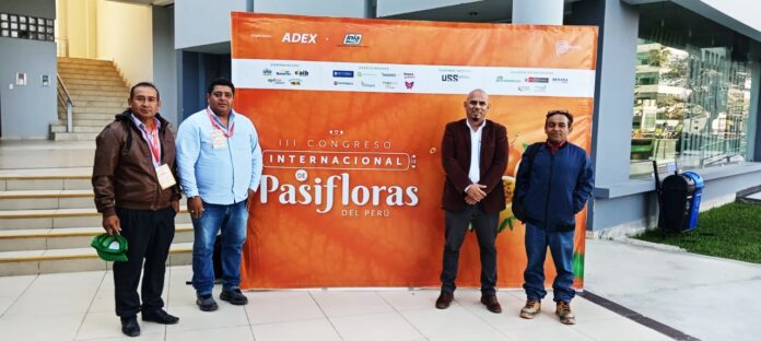 Maracuyá como alternativa agrícola frente al Fusarium R4T en Piura