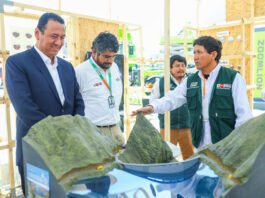 MIDAGRI presenta en Arequipa proyectos hídricos y plan de irrigaciones para impulsar agro y minería MIDAGRI presenta en Arequipa proyectos hídricos y plan de irrigaciones para impulsar agro y minería