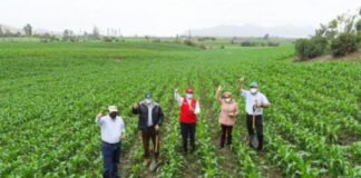 Midagri destina S/ 2,853.9 millones para fortalecer el agro peruano en 2026 Midagri destina S/ 2,853.9 millones para fortalecer el agro peruano en 2026