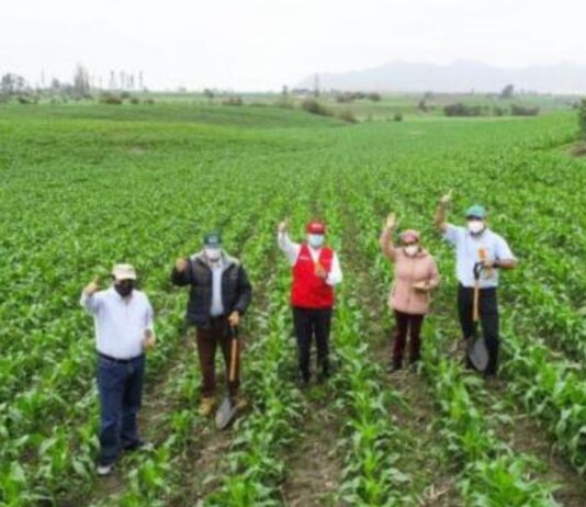 Midagri destina S/ 2,853.9 millones para fortalecer el agro peruano en 2026 Midagri destina S/ 2,853.9 millones para fortalecer el agro peruano en 2026