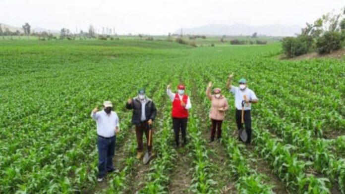 Midagri destina S/ 2,853.9 millones para fortalecer el agro peruano en 2026