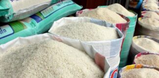 Caída global del arroz genera preocupación para productores peruanos Caída global del arroz genera preocupación para productores peruanos