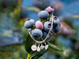 Grupo Novalty presenta “Cosechando Joyas” para impulsar la agricultura sostenible en Perú Grupo Novalty presenta “Cosechando Joyas” para impulsar la agricultura sostenible en Perú
