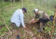 Proyecto Jililí protege ecosistemas altoandinos en Piura Proyecto Jililí protege ecosistemas altoandinos en Piura