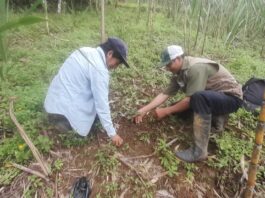 Proyecto Jililí protege ecosistemas altoandinos en Piura Proyecto Jililí protege ecosistemas altoandinos en Piura