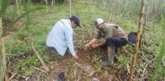 Proyecto Jililí protege ecosistemas altoandinos en Piura Proyecto Jililí protege ecosistemas altoandinos en Piura