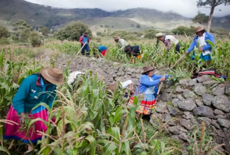 Perú encabezará Fontagro y fortalecerá la innovación agroalimentaria regional