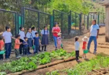 Piura reconoce experiencia exitosa de biohuertos en escuelas