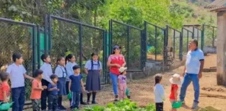 Piura reconoce experiencia exitosa de biohuertos en escuelas