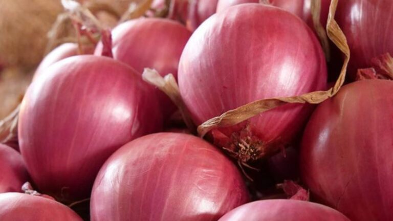 Sobreoferta global de cebolla impacta exportaciones en Perú y el mundo