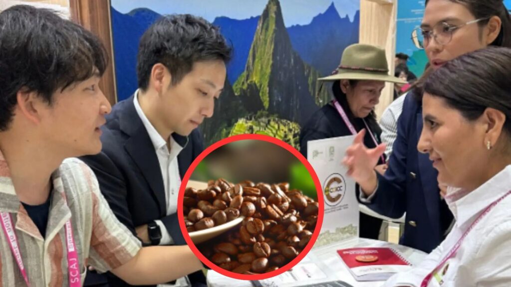 Café peruano refuerza presencia en Japón tras feria internacional
