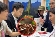 Café peruano refuerza presencia en Japón tras feria internacional Café peruano refuerza presencia en Japón tras feria internacional