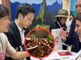 Café peruano refuerza presencia en Japón tras feria internacional Café peruano refuerza presencia en Japón tras feria internacional