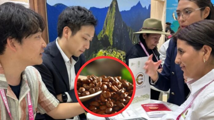 Café peruano refuerza presencia en Japón tras feria internacional