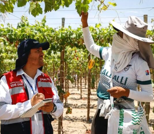 Campaña promueve seguridad y salud en trabajadores agroindustriales de La Libertad Campaña promueve seguridad y salud en trabajadores agroindustriales de La Libertad