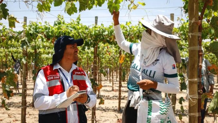 Campaña promueve seguridad y salud en trabajadores agroindustriales de La Libertad