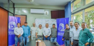 Inician estrategias técnicas para contener el Fusarium R4T en cultivos de banano Inician estrategias técnicas para contener el Fusarium R4T en cultivos de banano