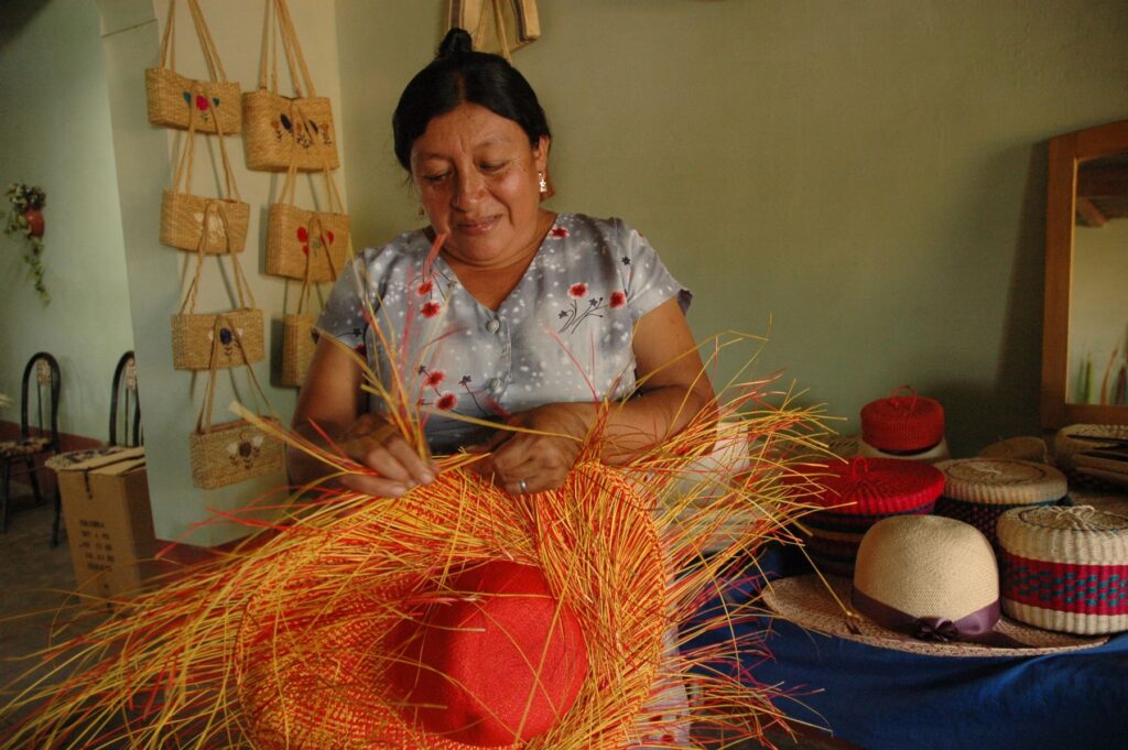 El Gobierno Regional Piura informó importantes avances en la gestión técnica y el diagnóstico de la paja toquilla, una fibra emblemática para la producción artesanal en San Miguel del Faique. Durante la segunda reunión del Comité Técnico Regional, las autoridades presentaron progresos en muestreo de suelos y agua, gestión para la importación de semilla y planificación productiva. Estas acciones forman parte de un trabajo articulado que busca mejorar la sostenibilidad agraria y el desarrollo competitivo de esta cadena productiva.