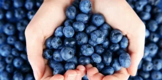 El arándano peruano lidera las exportaciones mundiales y consolida su crecimiento en 2025 Puerto de Paita concentra casi la mitad de las exportaciones de arándanos