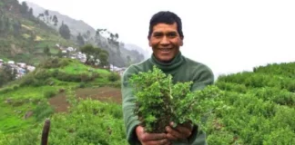 Sector agropecuario crecería 4.2% al cierre del 2025, según el Midagri Sector agropecuario crecería 4.2% al cierre del 2025, según el Midagri