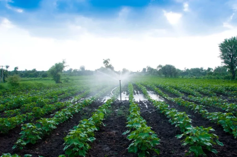 Gobierno publica proyecto del Plan de Cultivo y Riego para recibir aportes ciudadanos