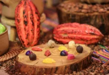 Perú y Suiza fortalecen alianza para impulsar el cacao sostenible Perú y Suiza fortalecen alianza para impulsar el cacao sostenible