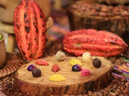 Perú y Suiza fortalecen alianza para impulsar el cacao sostenible Perú y Suiza fortalecen alianza para impulsar el cacao sostenible