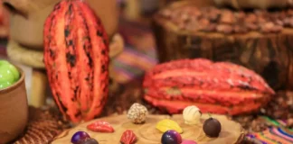 Perú y Suiza fortalecen alianza para impulsar el cacao sostenible Perú y Suiza fortalecen alianza para impulsar el cacao sostenible