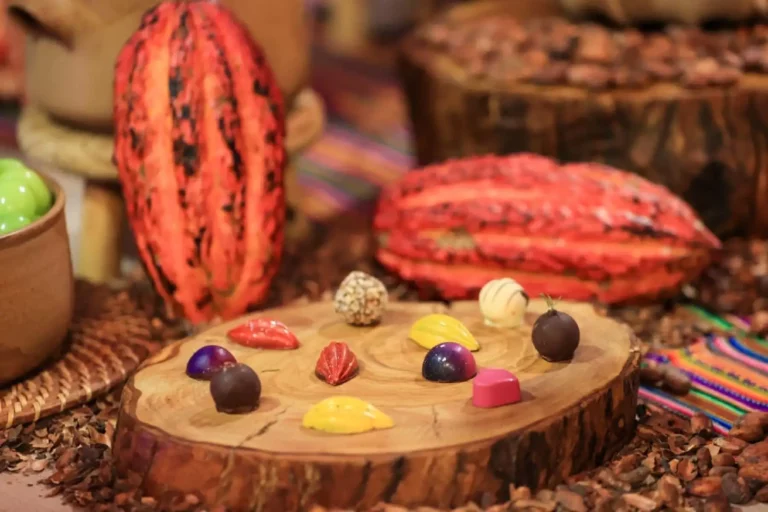 Perú y Suiza fortalecen alianza para impulsar el cacao sostenible