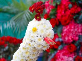 Exportaciones de flores peruanas registran aumento en 2025 Exportaciones de flores peruanas registran aumento en 2025