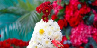 Exportaciones de flores peruanas registran aumento en 2025 Exportaciones de flores peruanas registran aumento en 2025