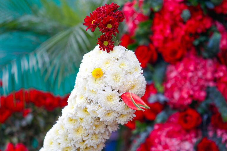 Exportaciones de flores peruanas registran aumento en 2025