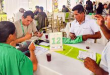 AgroConecta Satipo 2025 genera más de S/30 millones en proyecciones de compra para la Selva Central AgroConecta Satipo 2025 genera más de S/30 millones en proyecciones de compra para la Selva Central