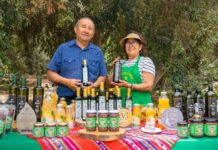 Aceite de oliva peruano obtiene máximo galardón en certamen internacional Aceite extra virgen peruano es premiado entre los mejores del mundo