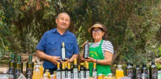 Aceite de oliva peruano obtiene máximo galardón en certamen internacional Aceite extra virgen peruano es premiado entre los mejores del mundo
