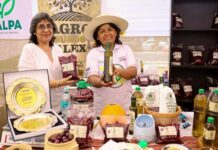 Más de 20 mil asistentes en el Festival de la Aceituna 2025 en Tacna Más de 20 mil asistentes en el Festival de la Aceituna 2025 en Tacna