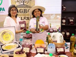 Más de 20 mil asistentes en el Festival de la Aceituna 2025 en Tacna Más de 20 mil asistentes en el Festival de la Aceituna 2025 en Tacna