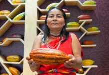 La diversidad del cacao peruano destaca en la exposición ‘Semillas del Perú’ La diversidad del cacao peruano destaca en la exposición ‘Semillas del Perú’