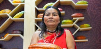 La diversidad del cacao peruano destaca en la exposición ‘Semillas del Perú’ La diversidad del cacao peruano destaca en la exposición ‘Semillas del Perú’
