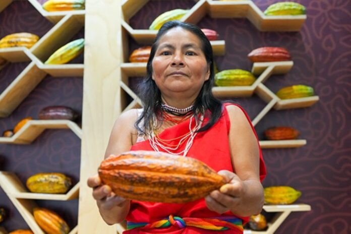 La diversidad del cacao peruano destaca en la exposición ‘Semillas del Perú’