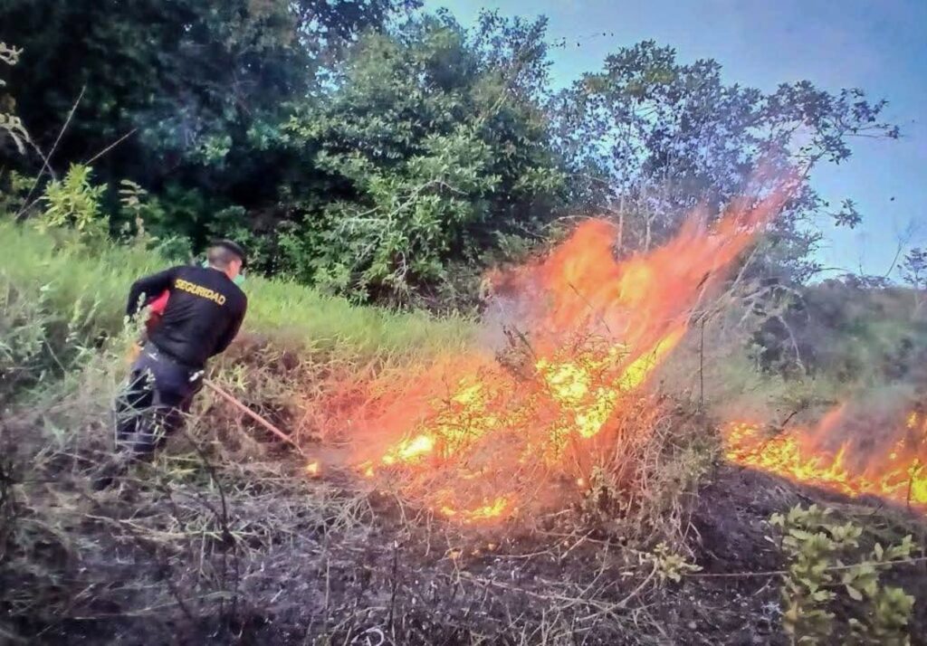 Cusco podría registrar incendios forestales hasta diciembre por ausencia de lluvias