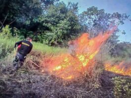 Cusco podría registrar incendios forestales hasta diciembre por ausencia de lluvias Cusco podría registrar incendios forestales hasta diciembre por ausencia de lluvias