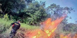 Cusco podría registrar incendios forestales hasta diciembre por ausencia de lluvias Cusco podría registrar incendios forestales hasta diciembre por ausencia de lluvias