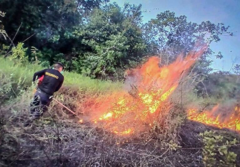 Cusco podría registrar incendios forestales hasta diciembre por ausencia de lluvias