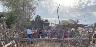 Gobierno capacita a productores de Catacaos en manejo de ganado ovino Gobierno capacita a productores de Catacaos en manejo de ganado ovino