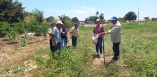 Productores de Sechura aprenden manejo sostenible del suelo Productores de Sechura aprenden manejo sostenible del suelo