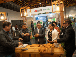 Expo Forestal Perú 2025 promueve inversiones sostenibles en el sector forestal Expo Forestal Perú 2025 promueve inversiones sostenibles en el sector forestal