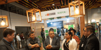 Expo Forestal Perú 2025 promueve inversiones sostenibles en el sector forestal Expo Forestal Perú 2025 promueve inversiones sostenibles en el sector forestal